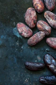 Raw Cocoa beans Stock Photos
