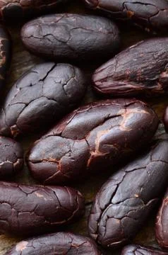 Raw Cocoa beans Stock Photos