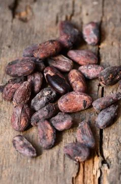 Raw Cocoa beans Stock Photos