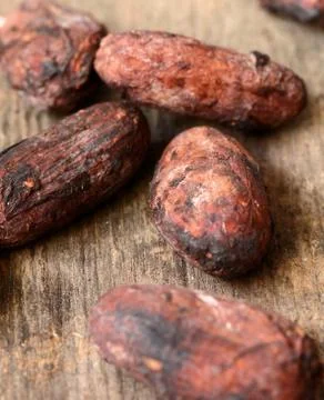 Raw Cocoa beans Stock Photos
