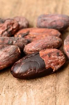 Raw Cocoa beans Stock Photos
