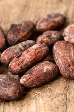 Raw Cocoa beans Foto stock
