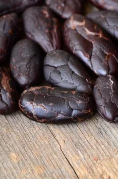 Raw Cocoa beans Stock Photos