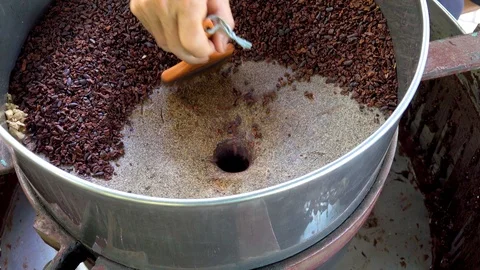 Raw cocoa Stock Footage 95506264