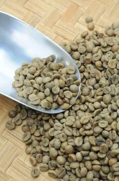 Raw coffee bean Stock Photos