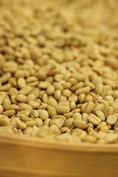 Raw coffee bean before roast Stock Photos