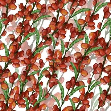 Raw coffee beans branches pattern Stock Illustration