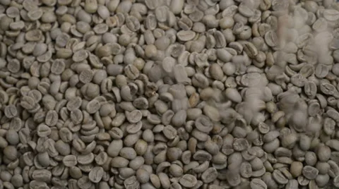 Raw coffee beans dropping onto a pile of green beans Stock Footage 53254722