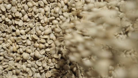 Raw Coffee Beans falling on bunch? of Coffee Beans Slow Motion Top Down 7 50f Video stock 171431388