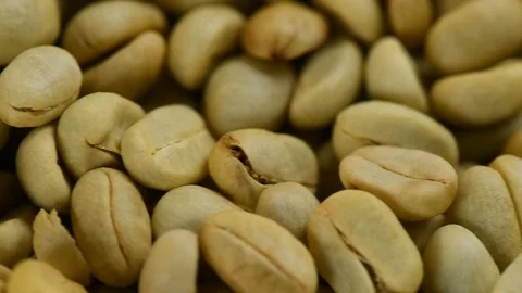 Raw coffee beans Stock Footage 91968284