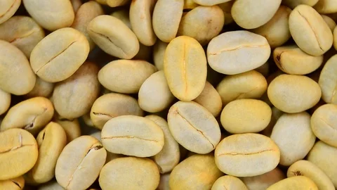 Raw coffee beans Video stock 91970422