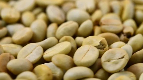 Raw coffee beans Stock Footage 91970795