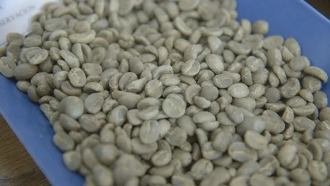 Raw coffee beans Stock Footage 104874008
