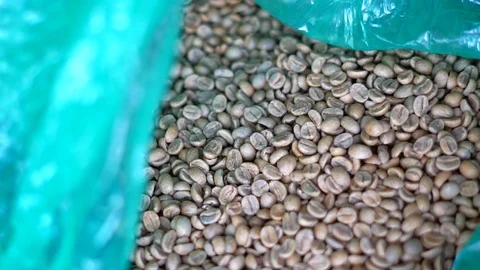 Raw Coffee Beans Import Bag in Super Slow Motion Stock Footage 125338829