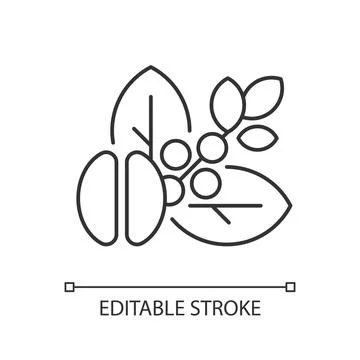 Raw coffee beans linear icon Stock-Illustration