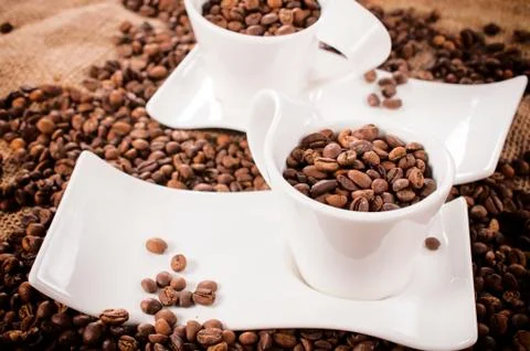 Raw coffee beans Stock Photos