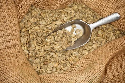 Raw coffee beans Stock Photos