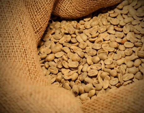 Raw coffee beans Stock Photos