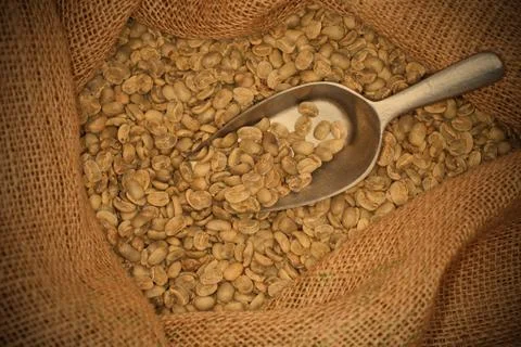 Raw coffee beans Foto stock