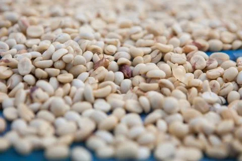 Raw coffee beans Stock Photos