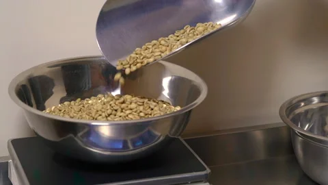 Raw coffee beans, preparation for roasting, moisture and weight measurement. Stock Footage 220348693