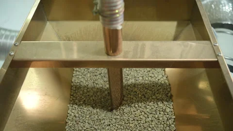 Raw coffee beans that the roaster sucks into the machine to be roasted Stock Footage 254419409
