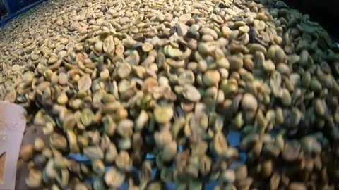 Raw coffee beans tumble into a processing machine in a factory. Close up, Stock Footage 107676981