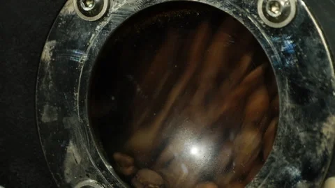 Raw coffee beans undergo roasting process in roaster Stock Footage 266142974