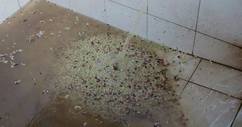 Raw Coffee Beans Washed In Wet Processing In An Industrial Factory Medium Sho Stock Footage 330168724