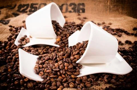 Raw coffee Stock Photos