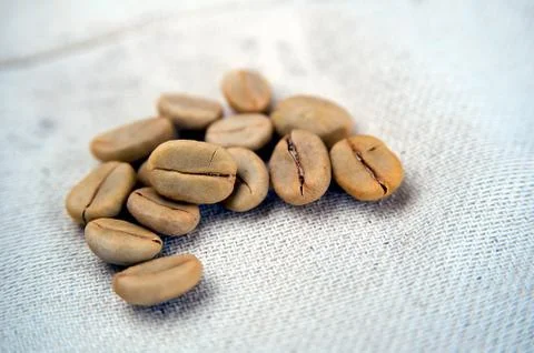 Raw coffee seeds Stock Photos
