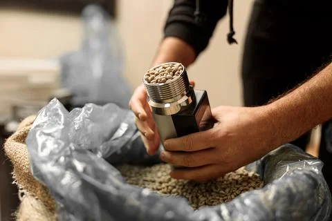 Raw coffee testing before roast Stock Photos
