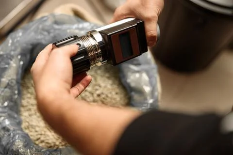 Raw coffee testing before roast Stock Photos