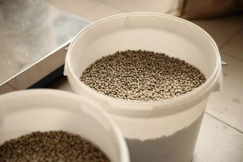 Raw coffee testing before roast Stock Photos