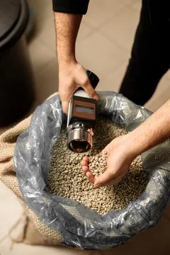 Raw coffee testing before roast Stock Photos