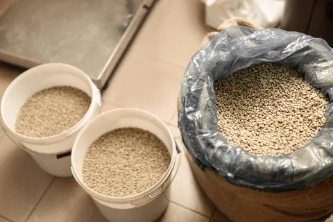 Raw coffee testing before roast Foto stock