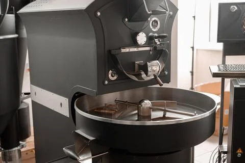 Raw coffee testing before roast Stock Photos