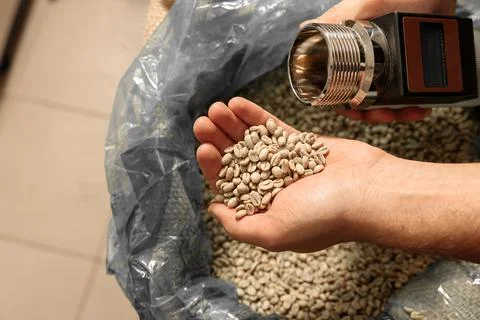 Raw coffee testing before roast Stock Photos