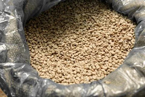 Raw coffee testing before roast Stock Photos