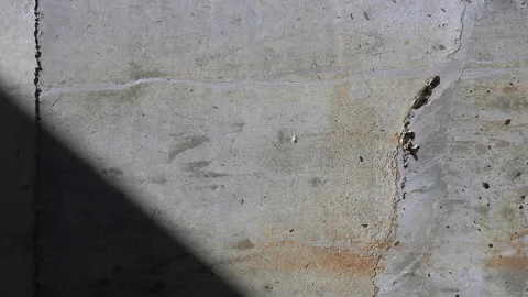 Raw concrete wall texture with rough cement surface. Stock Footage 330149920