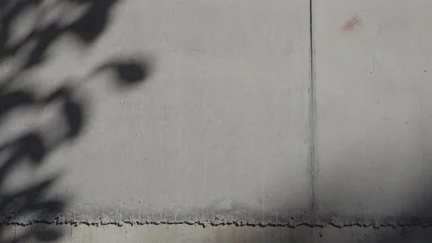 Raw concrete wall texture with sunlight and tree shadow moving across surface. Stock Footage 330149906