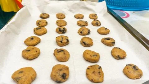 Raw cookies with chocolate chips before baking on a cover paper on a tray. Stock Photos