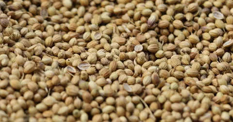 Raw coriander seeds displayed in bulk at a local market Stock Footage 324176472