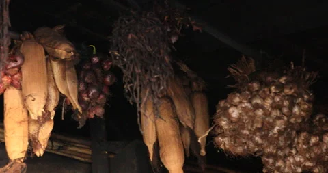Raw Corn and Onion Hanging in Home Stock Footage 293136186