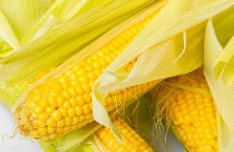 Raw corn cob close-up Foto stock