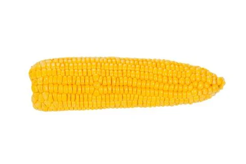 Raw Corn cob isolated on white background. Close up Stock Photos