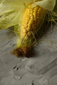 Raw corn cob with leaves vertically Stock Photos