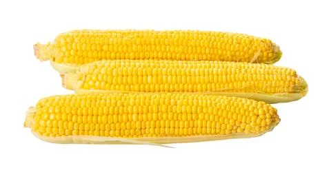 Raw corn cob Stock Photos