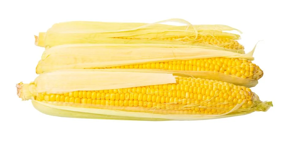 Raw corn cob Stock Photos