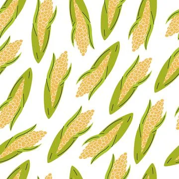 Raw corn cob on a white background. Vector seamless pattern in flat style Stock Illustration